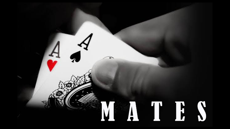 【Murphy's Magic DL】『メイツ』 ディビヤ・グハ / MATES by Dibya Guha mixed media DOWNLOAD