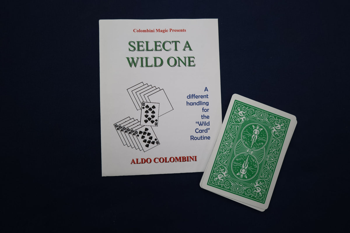 【中古:状態A】SELECT A WILD ONE