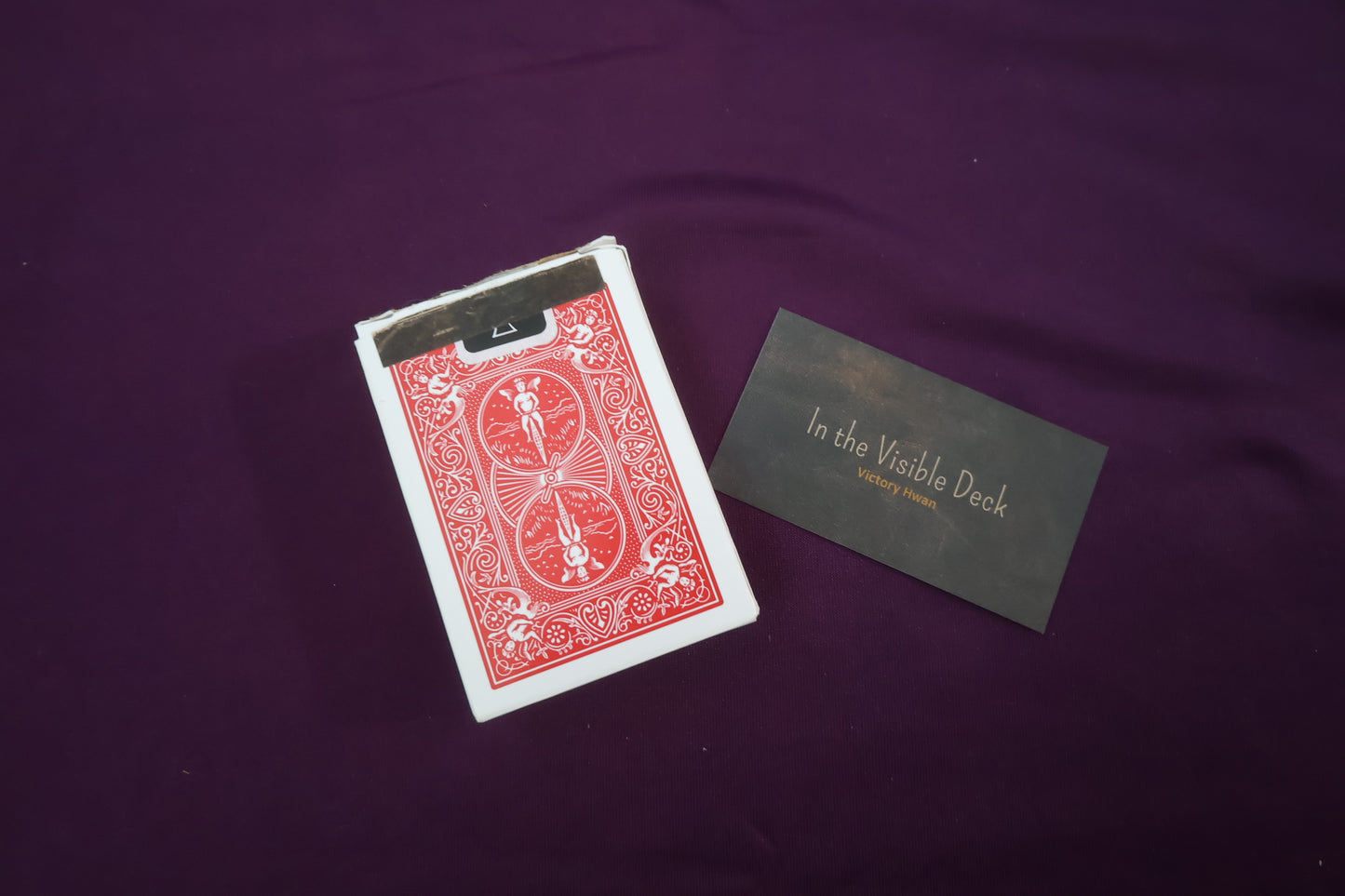 【中古:状態A】In the Visible Deck