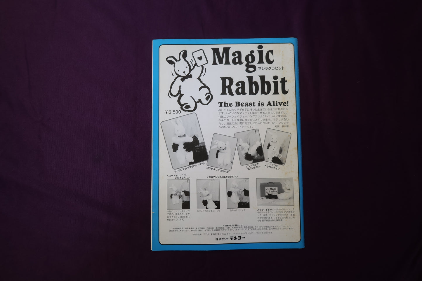 【中古:状態B】ワンツースリー 11