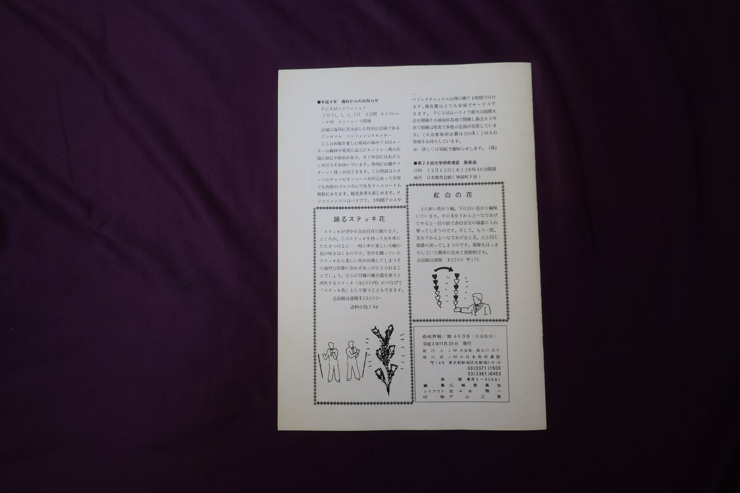【中古:状態C】奇術界報 603