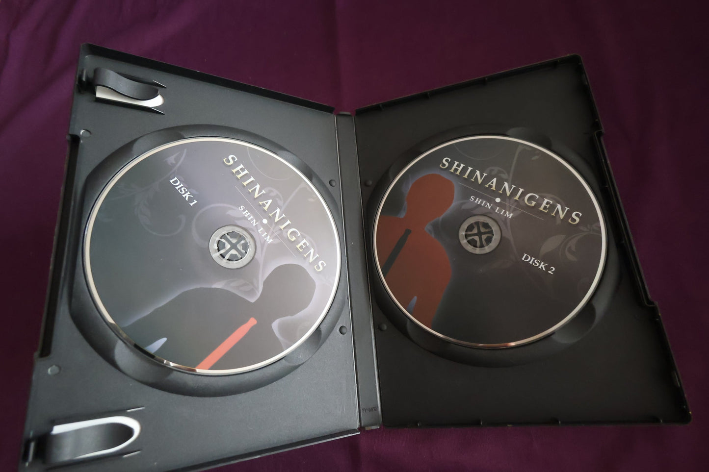【中古:状態A】SHINANIGENS by SHIN LIM