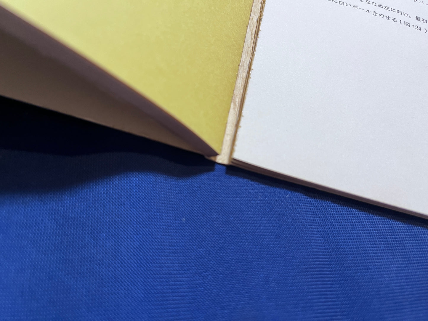 【中古:状態D】BALLS! Lessons in Side-Arm Snookery ビリヤードボール