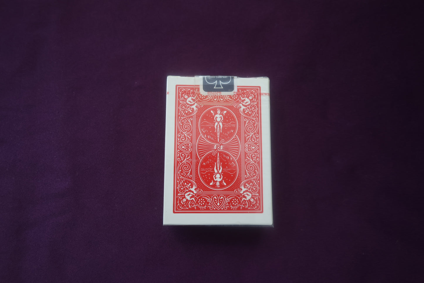 【中古:状態S】BICYCLE RIDAR BACK(赤)