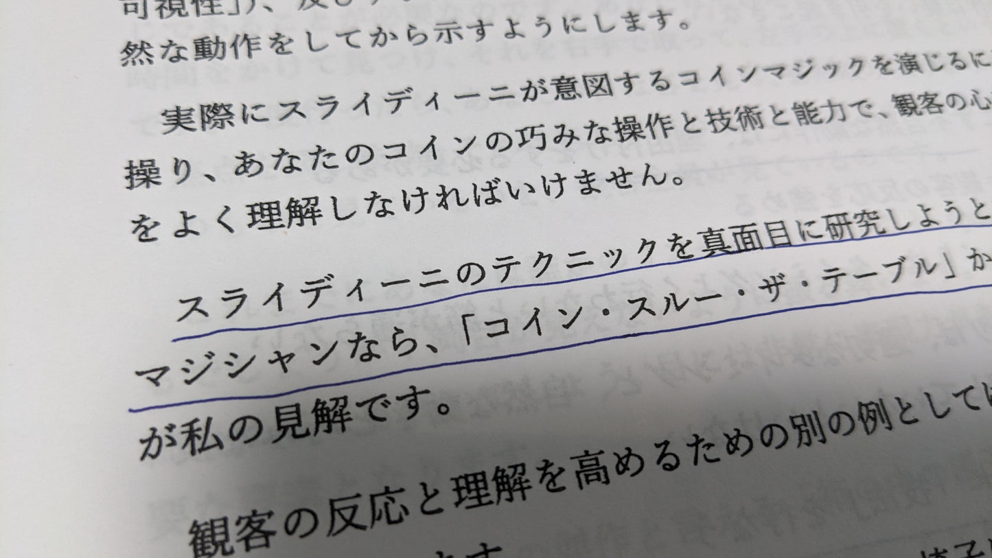 【中古:状態C】ミスディレクションへのスライディーニのアプローチ