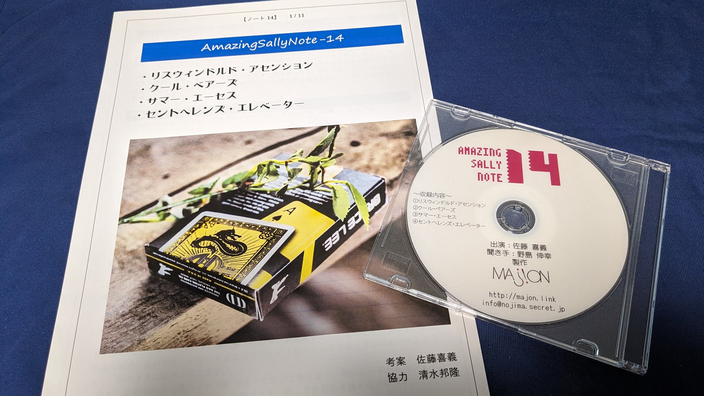 【中古:状態A】Amazing Sally Note-14