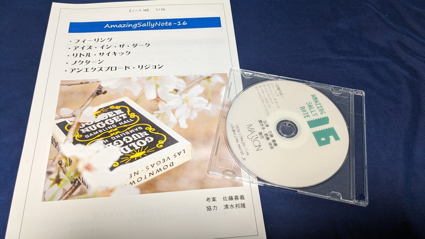 【中古:状態A】Amazing Sally Note-16