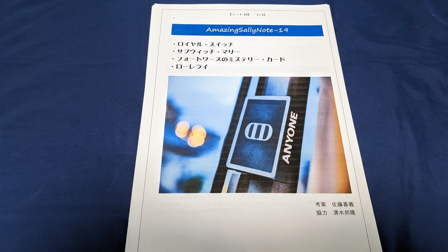 【中古:状態A】Amazing Sally Note-19(冊子のみ)