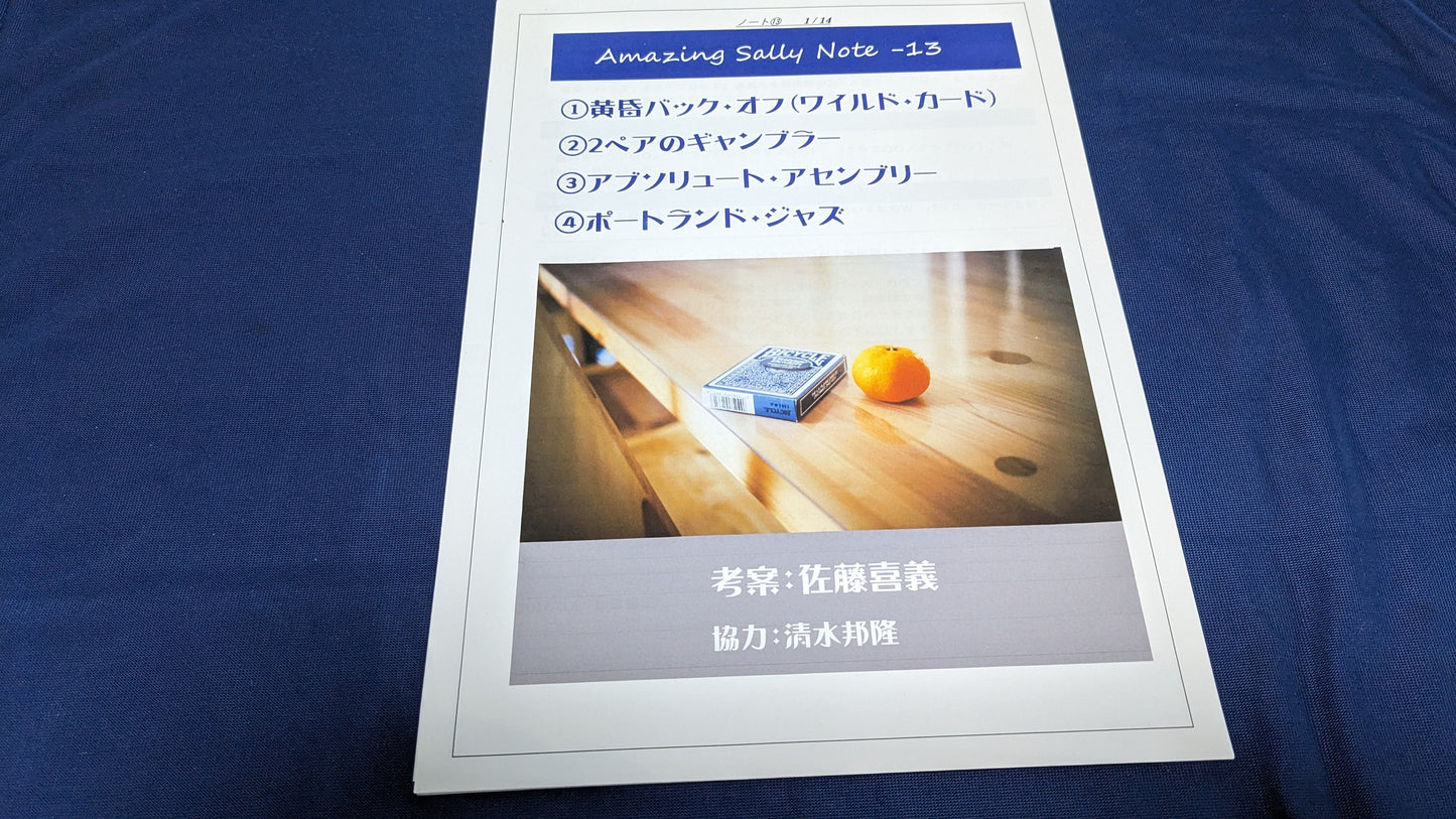 【中古:状態A】Amazing Sally Note-13(冊子のみ)