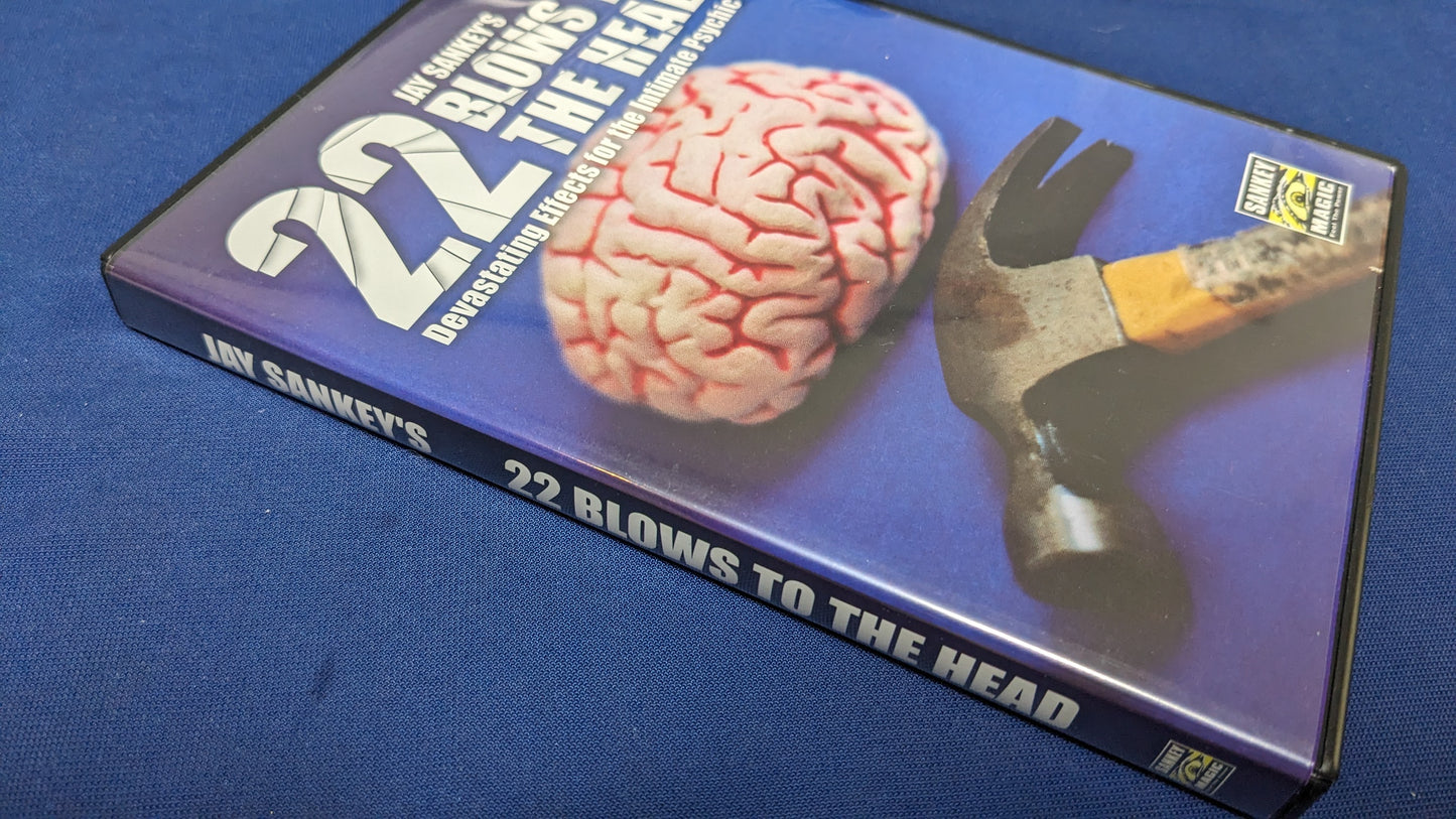 【中古:状態A】22 Blows to the Head by Jay Sankey