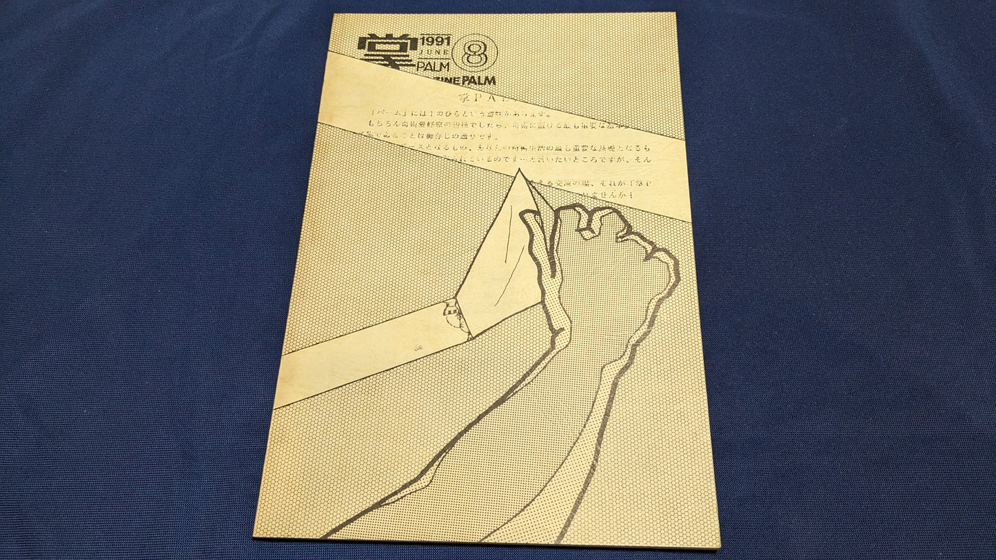 【中古:状態C】掌Palm No8
