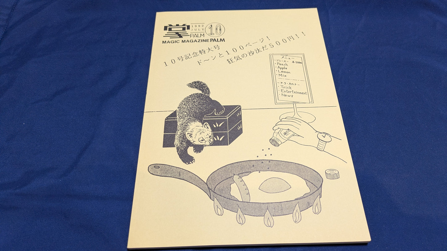 【中古:状態A】掌Palm No.10
