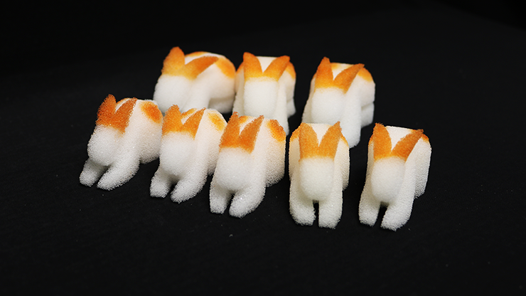 3Dラビットセット 3D Rabbit Set