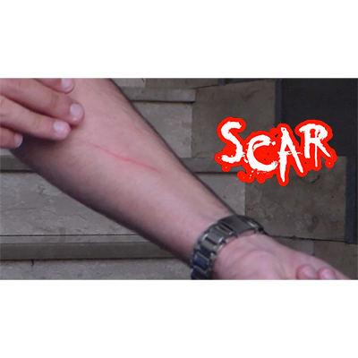 【Murphy's Magic DL】 『スカー』 ダン・アレックス / SCAR by Dan Alex - Video DOWNLOAD