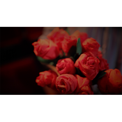 【Murphy's Magic DL】The Saint-Exerpury Rose by Vincent Mendoza & Lost Art Magic - Video DOWNLOA