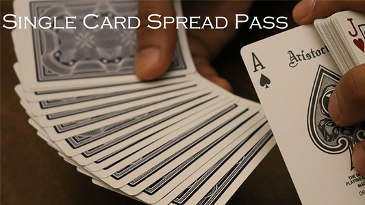 【Murphy's Magic DL】 『シングルカードスプレッドパス』 ヴィヴェク・シンギ / Magic Encarta Presents Single Card Spread Pass by Vivek Singhi video DOWNLOAD