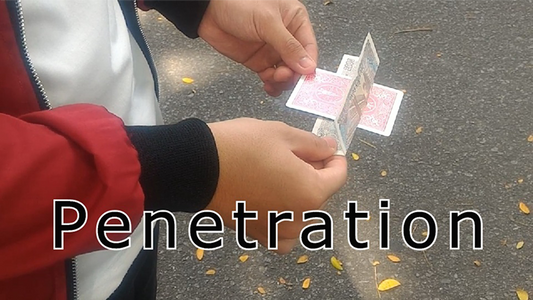 【Murphy's Magic DL】 『ペネトレーション』 アーノルド / Penetration by Arnold video DOWNLOAD