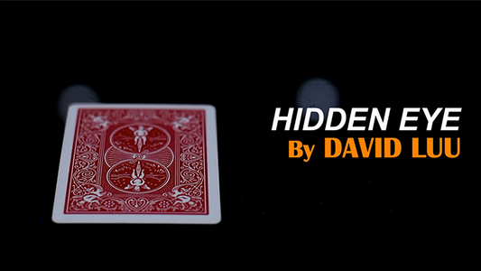 【Murphy's Magic DL】 『ヒドゥンアイ』 デイビッド・ルー / Hidden Eye by David Luu video DOWNLOAD