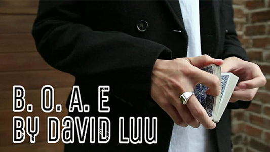 【Murphy's Magic DL】 『ブリンク・オブ・アン・アイ』 デイビッド・ルー / Blink Of An Eye by David Luu video DOWNLOAD