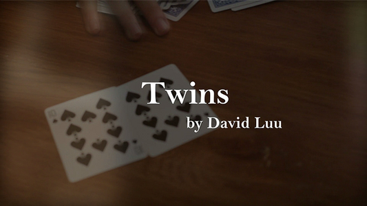【Murphy's Magic DL】 『ツインズ』 デイビッド・ルー / Twins by David Luu video DOWNLOAD