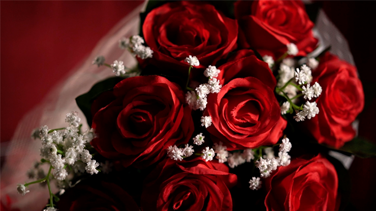 【新品】ブーケ　The Bouquet (Red) by Bond Lee & MS Magic