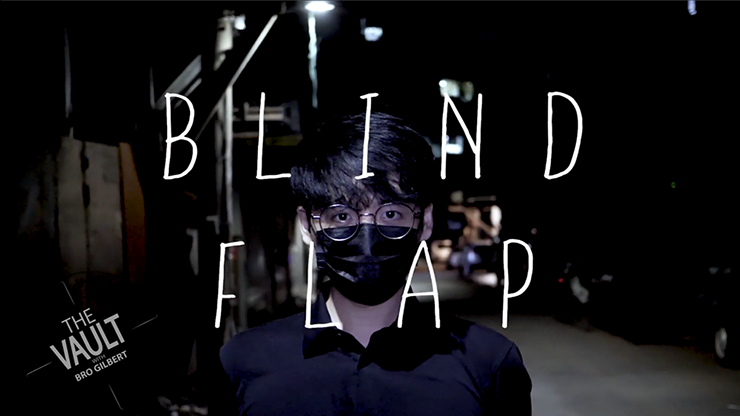 【Murphy's Magic DL】The Vault - Blind Flap Project by PH and Mario Tarasini video DOWNLOAD