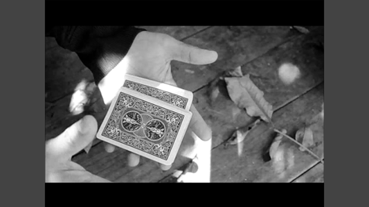 【Murphy's Magic DL】 『ルネゲードパック』 アーネル・レネガド / Renegade Pack by Arnel Renegado video DOWNLOAD