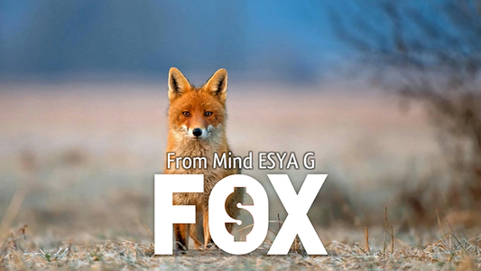 【Murphy's Magic DL】 『フォックス』 エスヤ・ジー / FOX by Esya G video DOWNLOAD