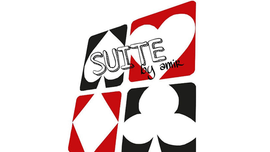 【Murphy's Magic DL】 『マーフィーズ・マジック・DL・スイート』 アミール / Suite by Amir video DOWNLOAD