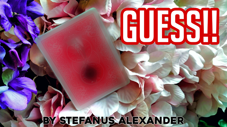 【Murphy's Magic DL】GUESS by Stefanus Alexander video DOWNLOAD