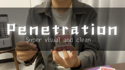 【Murphy's Magic DL】 『ペネトレーション』 ディンディン / Penetration by Dingding video DOWNLOAD