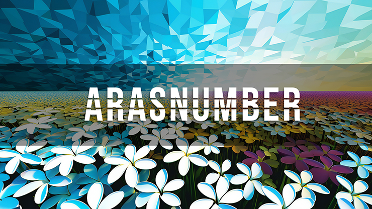 【Murphy's Magic DL】Arasnumber by Negan video DOWNLOAD