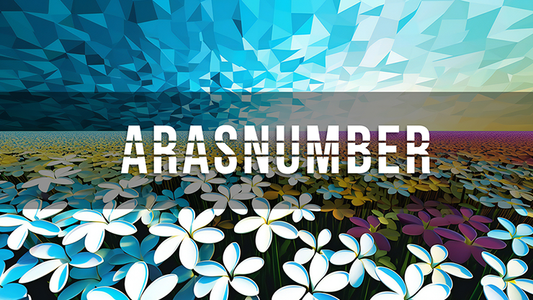 【Murphy's Magic DL】 『アラスナンバー』 ネガン / Arasnumber by Negan video DOWNLOAD