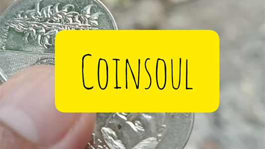 【Murphy's Magic DL】 『コインソウル』 レネガード・アルネル / Coin Soul by Renegado Arnel video DOWNLOAD