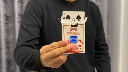 【Murphy's Magic DL】 『シェイキング・ライズ・カード』 ディンディン / Shaking Rise Card by Dingding - DOWNLOAD