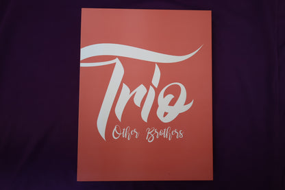 【中古：状態A】Trio Other Brothers
