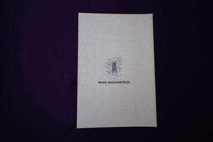 【中古：状態B】掌Palm　No3
