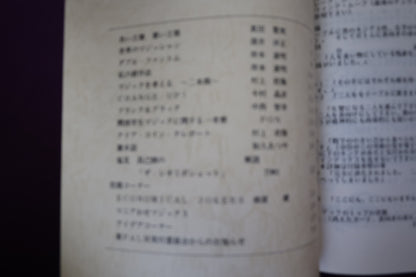 【中古：状態B】掌Palm　No4