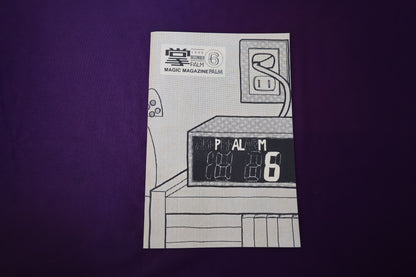 【中古：状態B】掌Palm　No6