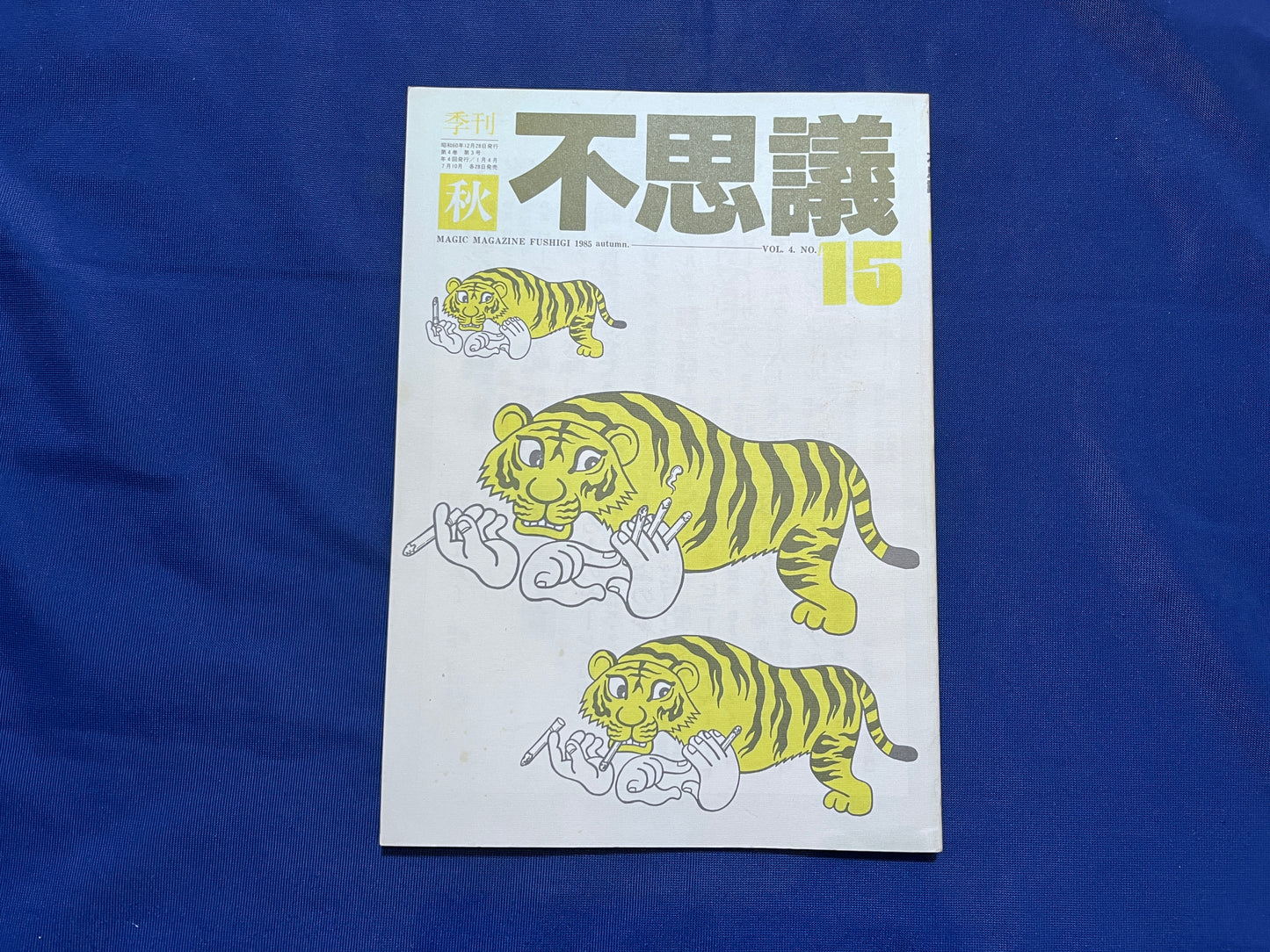 【中古：状態C】不思議15