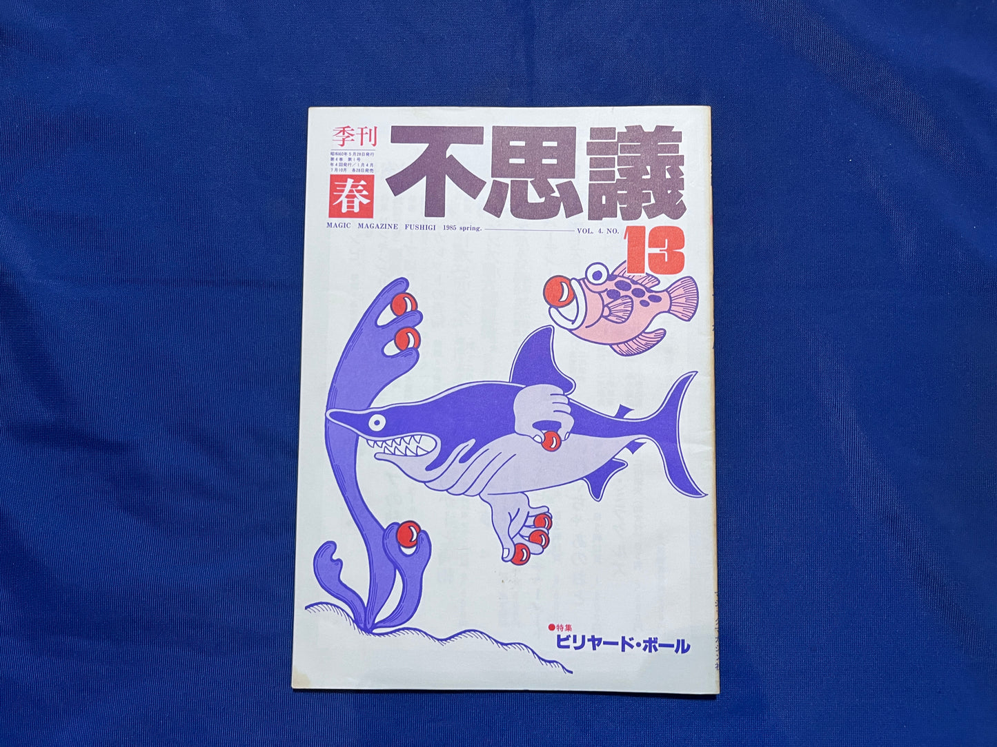 【中古：状態D】不思議13
