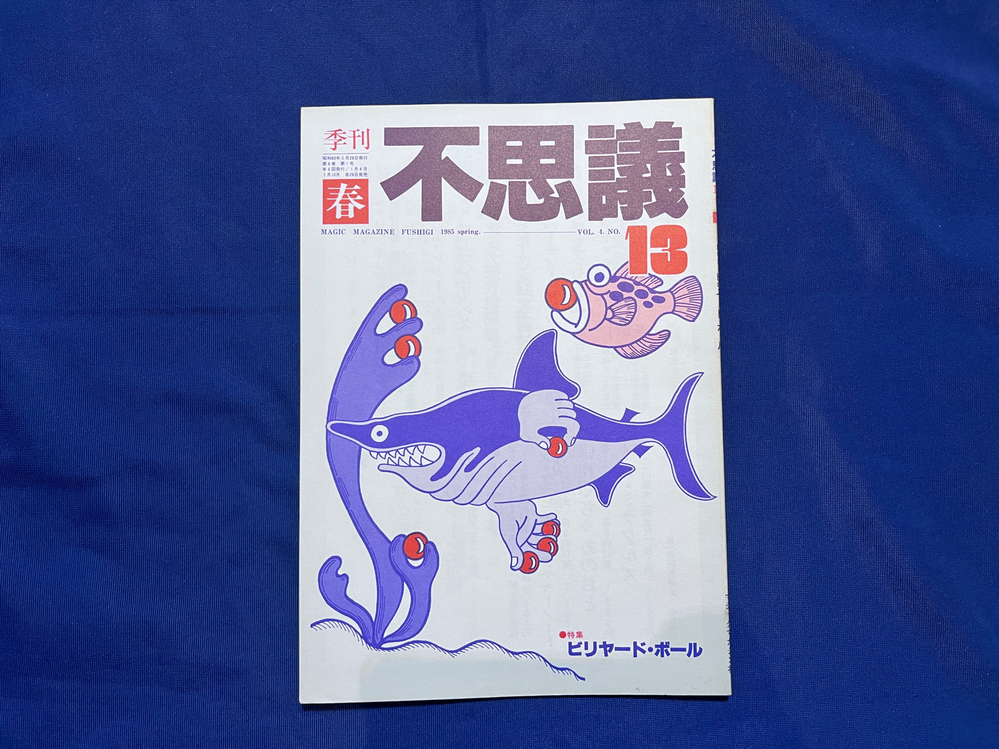 【中古：状態C】不思議13