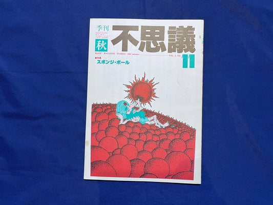【中古：状態C】不思議11