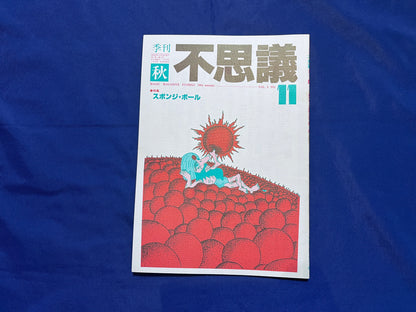 【中古：状態C】不思議11