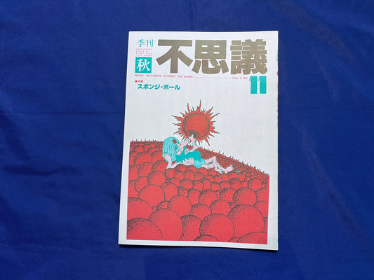 【中古：状態C】不思議11