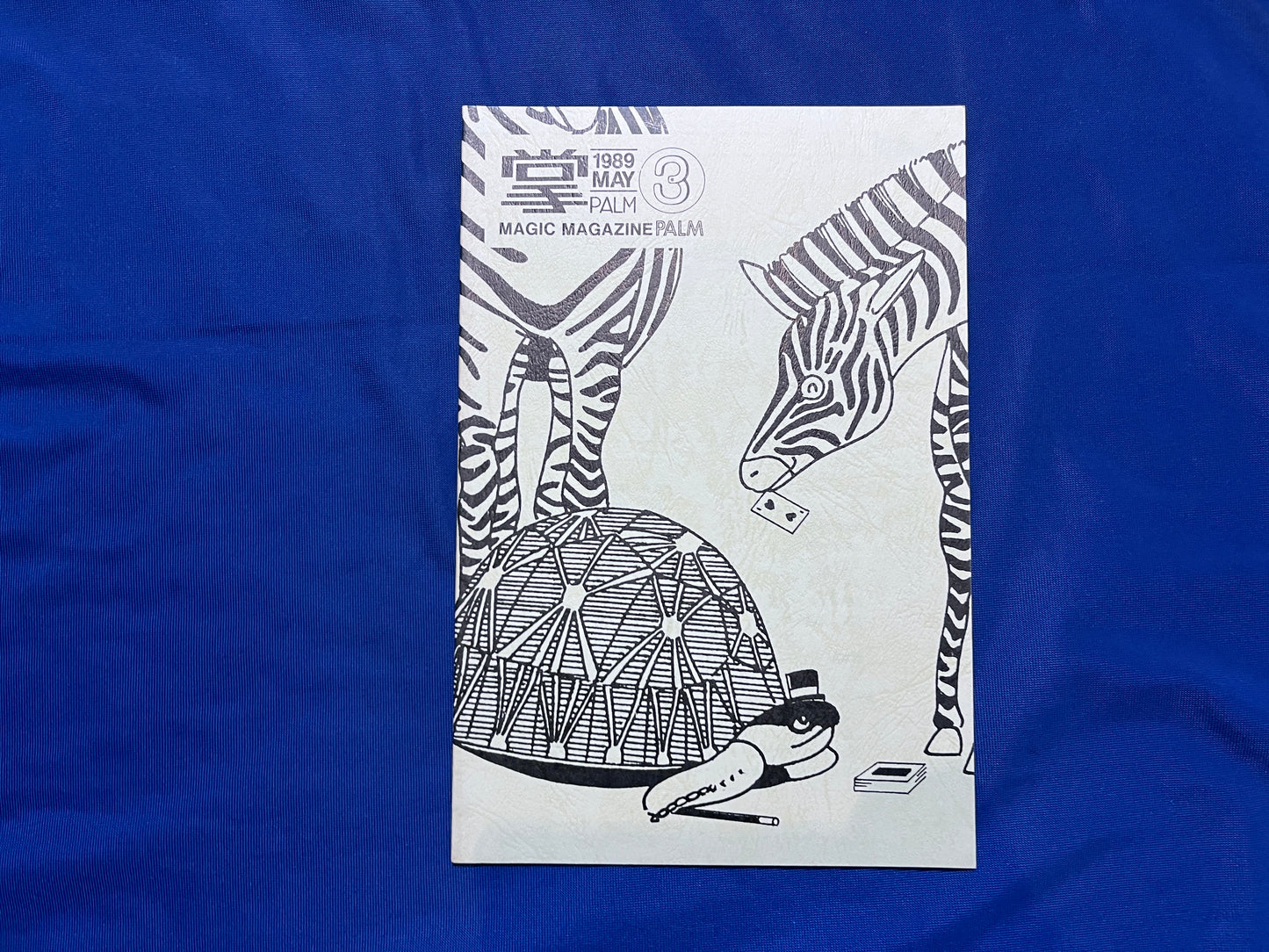 【中古：状態B】掌　Palm 3