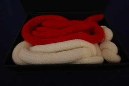 【中古：状態A】アメイジング・アクロバティック・ノット