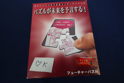 【中古：状態A】フューチャーパズル