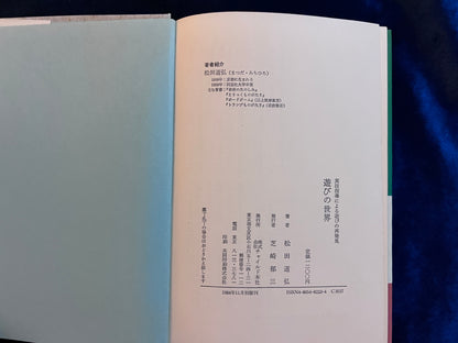 【中古：状態C】遊びの世界　子ども学講座８