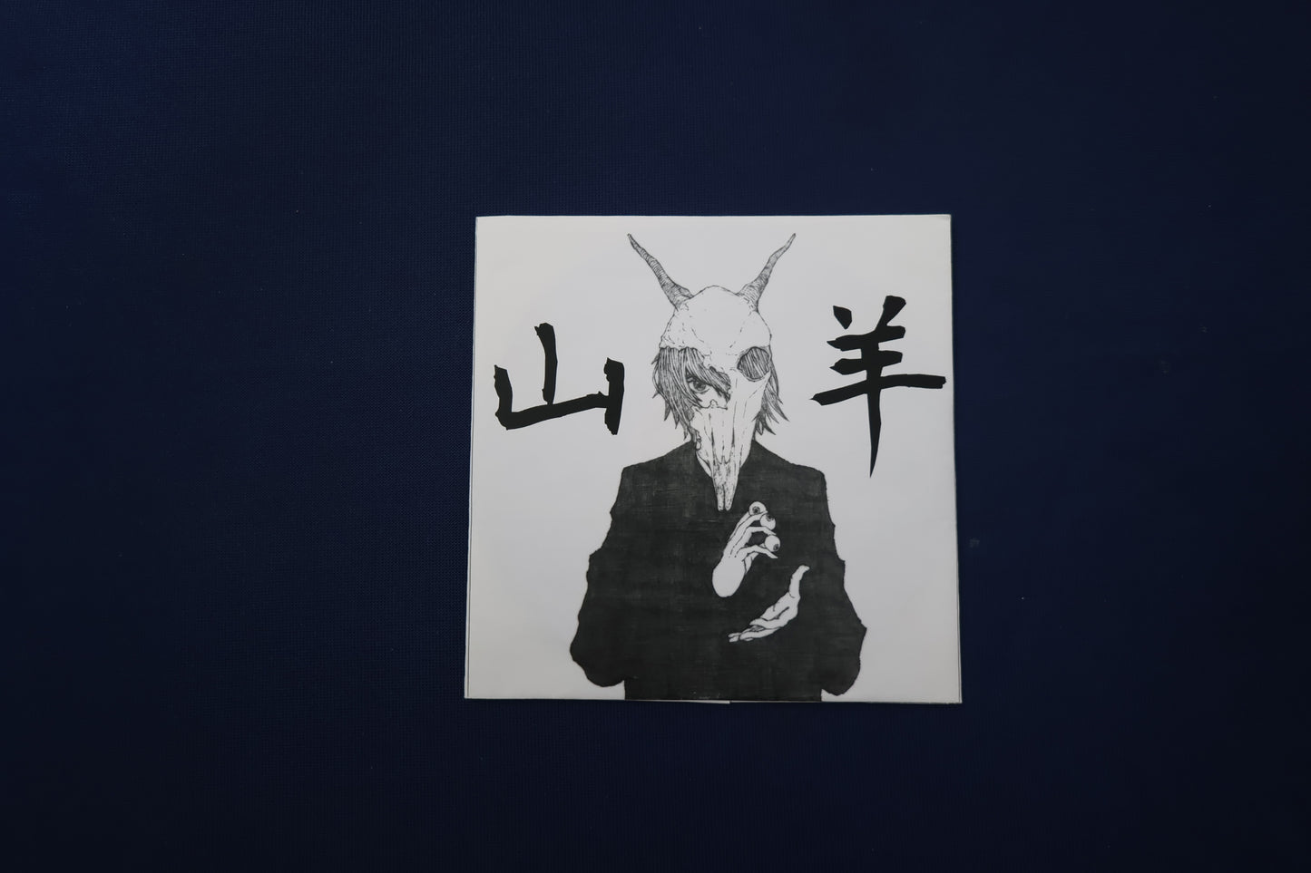 【中古：状態A】山羊